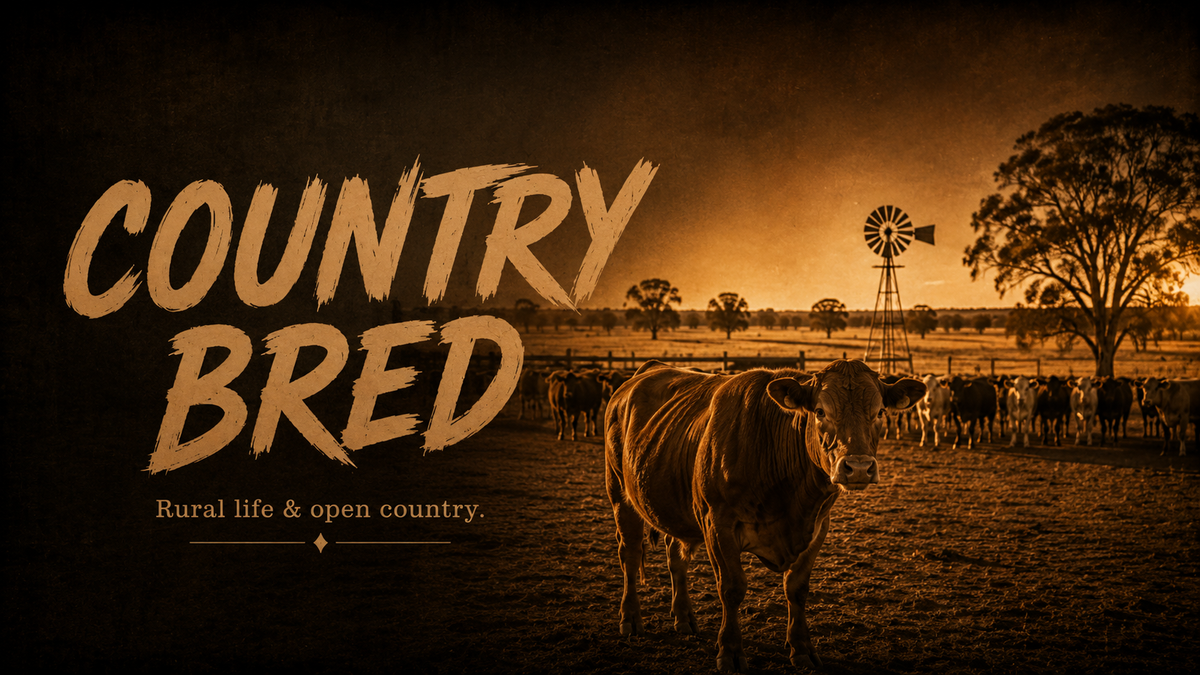 Country Bred collection banner with cattle, windmill and open country